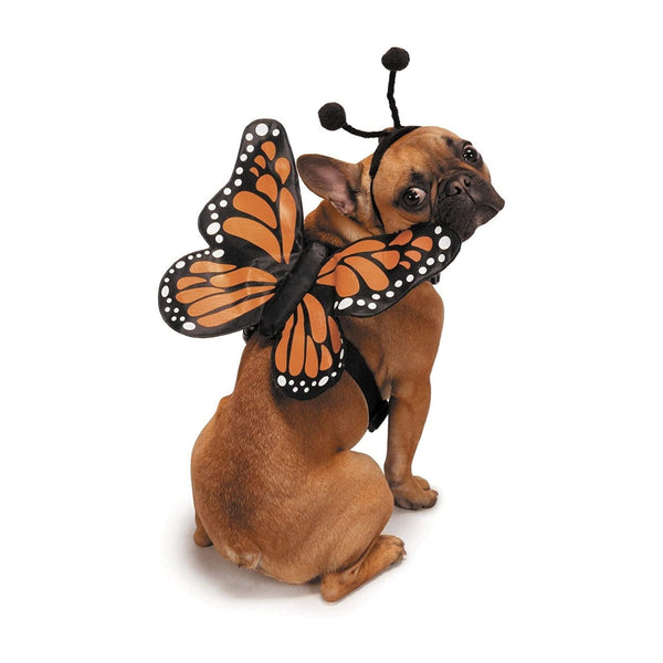 Zack & Zoey Butterfly Glow Harness Costume for Dogs, Large