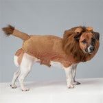 Zack & Zoey Fuzzy Lion Costume -Large-Dog-Zack & Zoey-PetPhenom