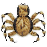 Zack & Zoey Fuzzy Tarantula Costume -Medium-Dog-Zack & Zoey-PetPhenom