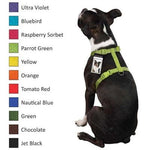 Zack & Zoey Nylon Harness - 14" - 20" Harness - Light Purple (79)-Dog-Zack & Zoey-PetPhenom