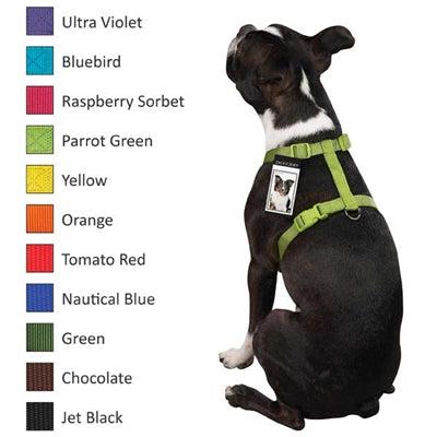 Zack & Zoey Nylon Harness - 8" - 14" Harness - Lime Green (431)-Dog-Zack & Zoey-PetPhenom