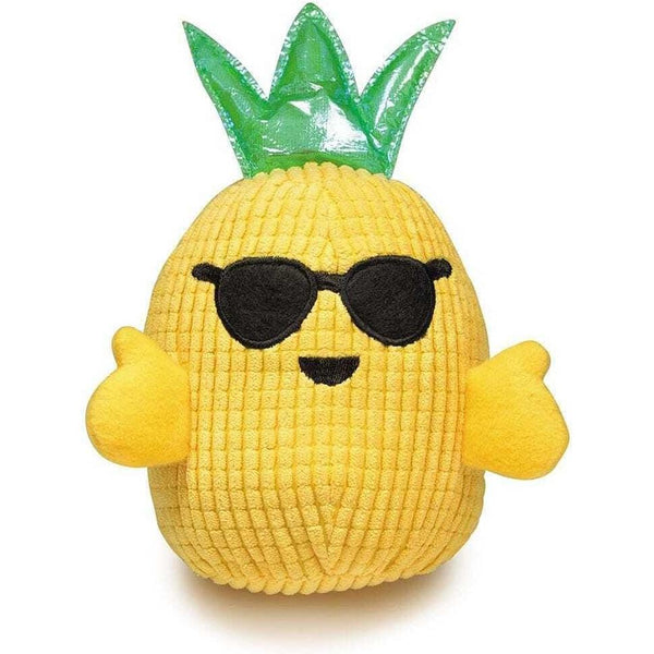 Zanies Hawaiian Breeze Pinpple Toy -Boy
