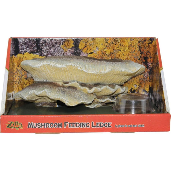 Zilla Mushroom Feeding Ledge Reptile Decor, 1 Count-Small Pet-Zilla-PetPhenom