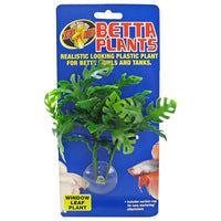 Zoo Med Aquatic Betta Plants - Window Leaf Plant, Window Leaf Betta Plant-Fish-Zoo Med-PetPhenom
