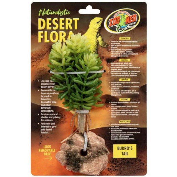 Zoo Med Burros Tail Desert Flora Terrarium Plant, 1 count-Small Pet-Zoo Med-PetPhenom