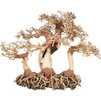 Zoo Med Dragon Bonsai Tree Aquarium Decoration, Large 1 count-Fish-Zoo Med-PetPhenom