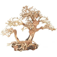 Zoo Med Dragon Bonsai Tree Aquarium Decoration, Medium 1 count-Fish-Zoo Med-PetPhenom