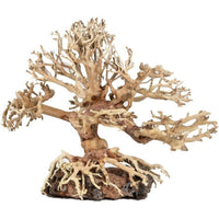 Zoo Med Dragon Bonsai Tree Aquarium Decoration, Small 1 count-Fish-Zoo Med-PetPhenom