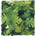 Zoo Med Natural Bush Amazonian Phyllo Plant Large, 1 count-Small Pet-Zoo Med-PetPhenom