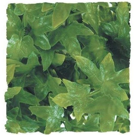 Zoo Med Natural Bush Australian Maple Plant Large, 1 count-Small Pet-Zoo Med-PetPhenom