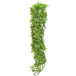Zoo Med Natural Bush Bolivian Croton Plant Large, 1 count-Small Pet-Zoo Med-PetPhenom