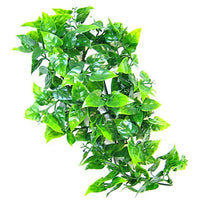 Zoo Med Natural Bush - Mexican Phyllo Aquarium Plant, Small (14" Tall)-Small Pet-Zoo Med-PetPhenom