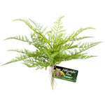 Zoo Med Naturalistic Flora Lace Fern, 1 count-Small Pet-Zoo Med-PetPhenom