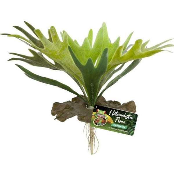 Zoo Med Naturalistic Flora Staghorn Fern, 1 count-Small Pet-Zoo Med-PetPhenom