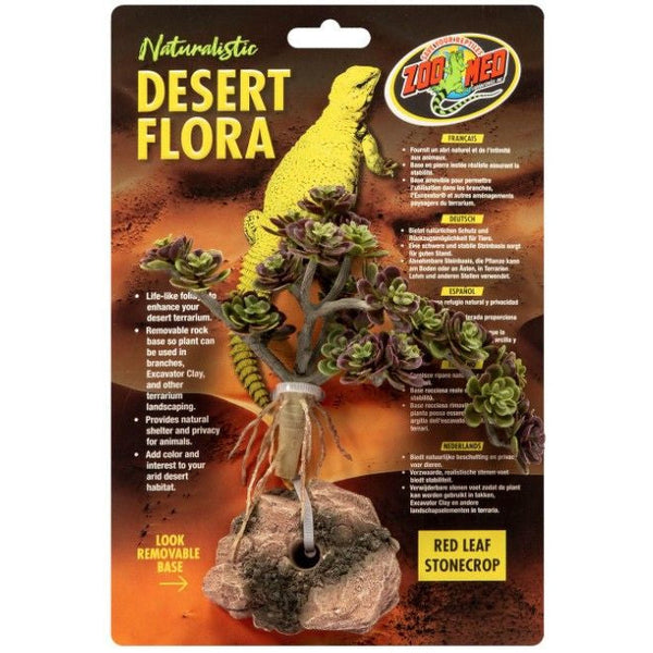 Zoo Med Red Leaf Stonecrop Desert Flora Terrarium Plant, 1 count-Small Pet-Zoo Med-PetPhenom