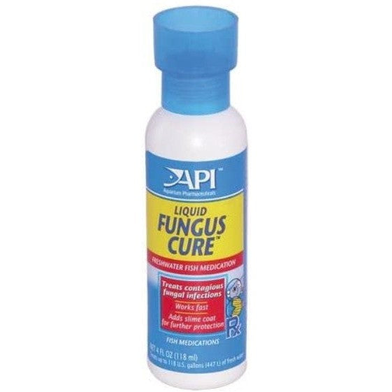 API Liquid Fungus Cure Freshwater Fish Medication for Aquariums, 24 oz (6 x 4 oz)