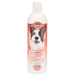 Bio Groom Flea and Tick Shampoo, 36 oz (3 x 12 oz)