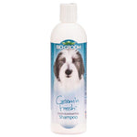 Bio Groom Groom n Fresh Shampoo, 36 oz (3 x 12 oz)