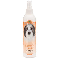 Bio Groom Groom n Fresh Cologne, 48 oz (6 x 8 oz)