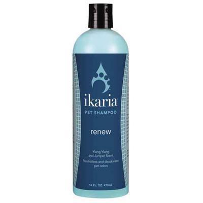 ikaria Shampoo Renew - 16oz-Dog-Ikaria-PetPhenom