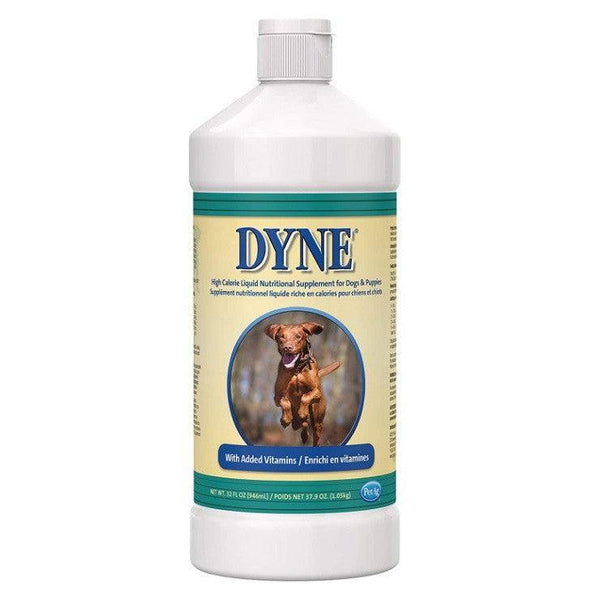 PetAg Dyne High Calorie Liquid Nutritional Supplement for Dogs and Puppies, 64 oz (2 x 32 oz)