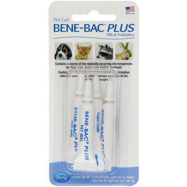 PetAg Bene-Bac Plus FOS & Probiotics Pet Gel, 24 gm (6 x 4 gm)