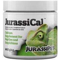 JurassiPet JurassiCal Reptile and Amphibian Dry Calcium Supplement, 15.6 oz (6 x 2.6 oz)
