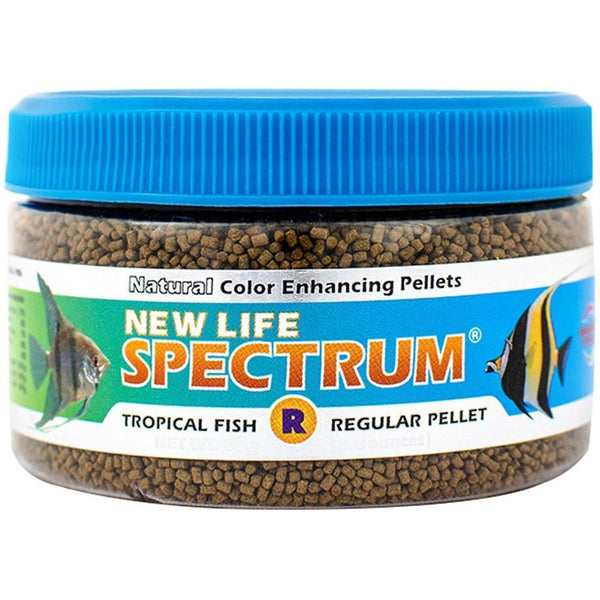 New Life Spectrum Tropical Fish Food Regular Sinking Pellets, 240 gram (3 x 80 gm)