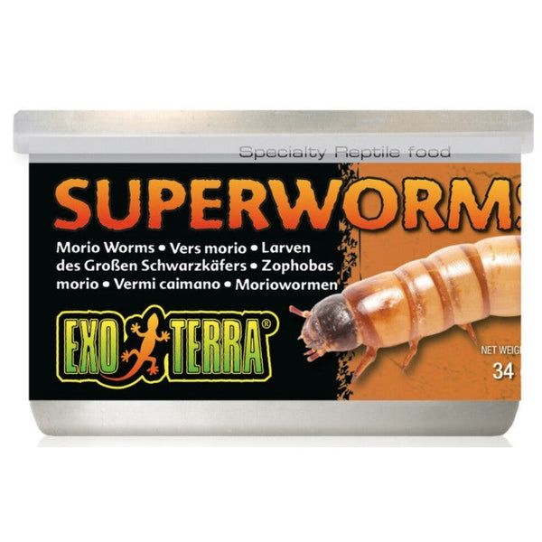 Exo Terra Canned Superworms Specialty Reptile Food, 14.4 oz (12 x 1.2 oz)