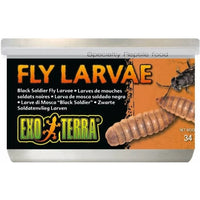 Exo Terra Canned Black Soldier Fly Larvae Specialty Reptile Food, 14.4 oz (12 x 1.2 oz)