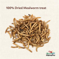 Manna Pro Manna Pro Mealworm Munchies -30oz-Chicken-Manna Pro-PetPhenom