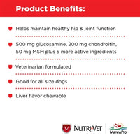 Nutri-Vet Nutri-Vet Hip & Joint Extra Strength Chewables - 500mg GS, 200mg CS, 50mg MSM -120 ct.-Dog-Nutri-Vet-PetPhenom