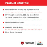 Nutri-Vet Nutri-Vet Hip & Joint Extra Strength Chewables - 500mg GS, 200mg CS, 50mg MSM -120 ct.-Dog-Nutri-Vet-PetPhenom