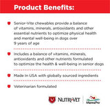 Nutri-Vet Senior-Vite Chewables - 120 count-Dog-Nutri-Vet-PetPhenom