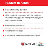 Nutri-Vet Probiotics Capsules - 60 ct-Dog-Nutri-Vet-PetPhenom