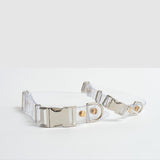 Hiddin Clear Dog Collar with Metal Accents | Options-Dog-Hiddin.co-X Small | 4-9" neck-Brass | Chrome-PetPhenom