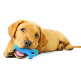 Nylabone Puppy Chew Dinosaur Dental Chew Toy for Teething Puppies-Dog-Nylabone-PetPhenom