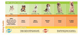 Nylabone Puppy Chew Teething Keys, Small-Dog-Nylabone-PetPhenom