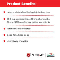 Nutri-Vet Nutri-Vet Hip & Joint Advanced Strength Chewables - 500mg GS, 400mg CS, 50mg MSM, 6mg HA - 300 ct-Dog-Nutri-Vet-PetPhenom