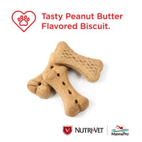 Nutri-Vet Nutri-Vet Hip & Joint Extra Strength Peanut Butter Biscuits for Dogs - 500mg GS -6 Lbs-Dog-Nutri-Vet-PetPhenom