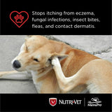 Nutri-Vet Nutri-Vet Ear Cleanse - 8 oz.-Dog-Nutri-Vet-PetPhenom