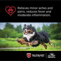 Nutri-Vet Nutri-Vet Aspirin for Small Dogs 120mg - 100 ct-Dog-Nutri-Vet-PetPhenom