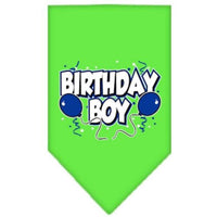Mirage Pet Products Birthday Boy Screen Print Bandana, Large, Assorted Colors-Dog-Mirage Pet Products-Lime Green-PetPhenom
