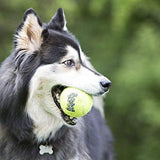 KONG Air Dog Squeakair Dog Toy Tennis Balls 3-Pack, X-Small-Dog-KONG-PetPhenom
