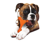 Nylabone DuraChew Axis Dog Chew Bone-Dog-Nylabone-PetPhenom