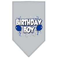 Mirage Pet Products Birthday Boy Screen Print Bandana, Large, Assorted Colors-Dog-Mirage Pet Products-Gray-PetPhenom