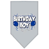 Mirage Pet Products Birthday Boy Screen Print Bandana, Small, Assorted Colors-Dog-Mirage Pet Products-Gray-PetPhenom
