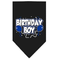 Mirage Pet Products Birthday Boy Screen Print Bandana, Large, Assorted Colors-Dog-Mirage Pet Products-Black-PetPhenom