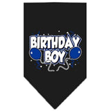 Mirage Pet Products Birthday Boy Screen Print Bandana, Small, Assorted Colors-Dog-Mirage Pet Products-Black-PetPhenom