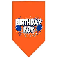 Mirage Pet Products Birthday Boy Screen Print Bandana, Large, Assorted Colors-Dog-Mirage Pet Products-Orange-PetPhenom